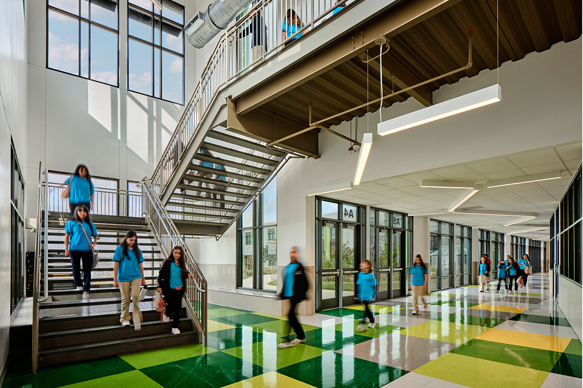 Floor to ceiling windows along the ground floor corridor open up views from office spaces, adding connection to the outdoors and contributing to well being.